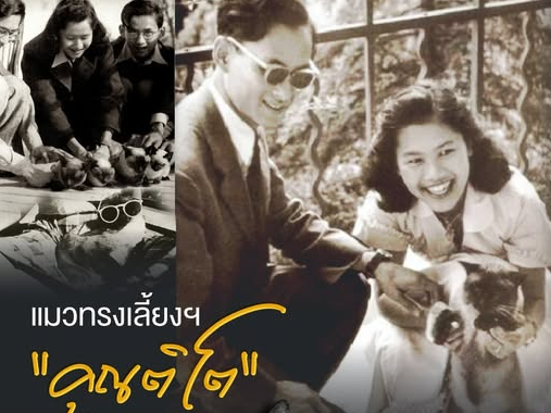 &ldquo;คุณติโต&rdquo; แมวทรงเลี้ยงในพระบาทสมเด็จพระบรมชนกาธิเบศร มหาภูมิพลอดุลยเดชมหาราช บรมนาถบพิตร และสมเด็จพระนางเจ้าสิริกิติ์ พระบรมราชินีนาถ พระบรมราชชนนีพันปีหลวง